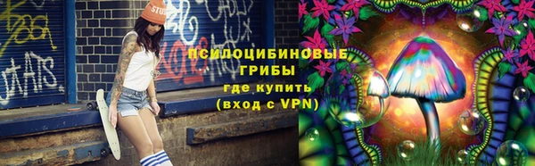 mdpv Михайлов