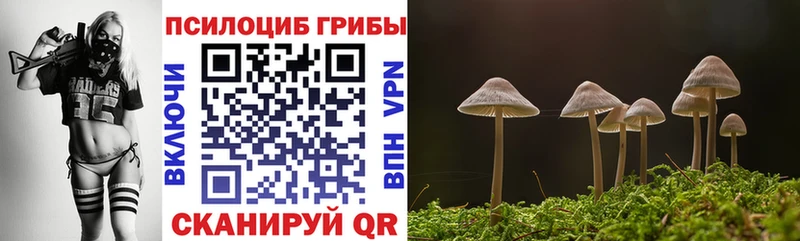 Галлюциногенные грибы прущие грибы  Сухой Лог 