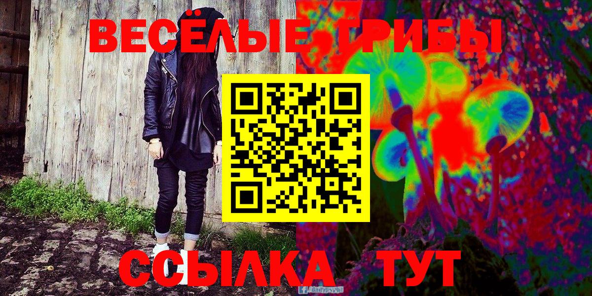 Сухой Лог  Галлюциногенные грибы MAGIC MUSHROOMS  Вход с VPN 